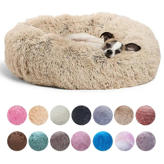 Pupbeds ™ beds for your furry friends